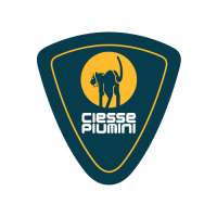 Logo Ciesse Piumini