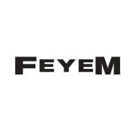 Logo Feyem