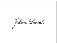 Julien David Salerno logo