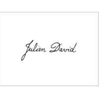 Logo Julien David