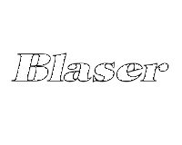 Basler Bergamo logo
