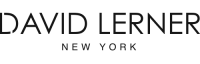 David Lerner Perugia logo