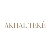 Logo Akhal Teke' 