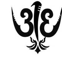 logo 313