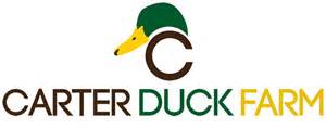 logo Duck Farm