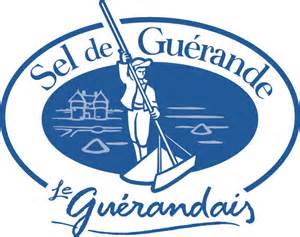 logo G.Sel