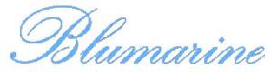 logo Miss Blumarine