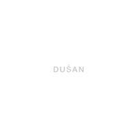 Logo Dusan