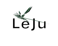 Leju Messina logo