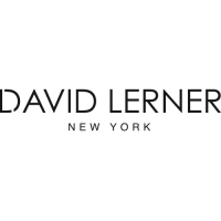 Logo David Lerner