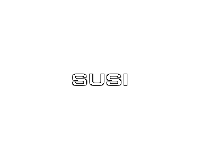 Susi Store Bari logo