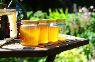 Calo della produzione di miele in Puglia a causa della siccità
