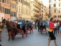 A Firenze scatta la protesta delle associazioni animaliste contro le carrozze