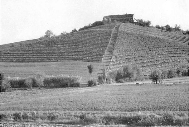 colline del Monferrato